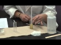 Flotation Technique For Stool Examination Ppt