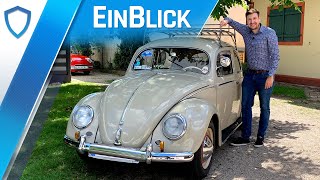 VW Käfer (1952) - VOLKSHELD der Nachkriegszeit!