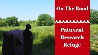 On The Road Ep.1: Patuxent Research Refuge
