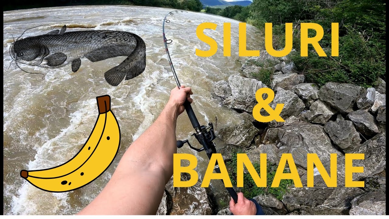 Pesco un SILURO con una BANANA !!! a CACCIA DI MOSTRI nella piena