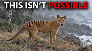 screenshot of the youtube video