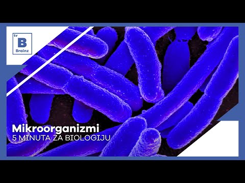 5 minuta za biologiju - Mikroorganizmi