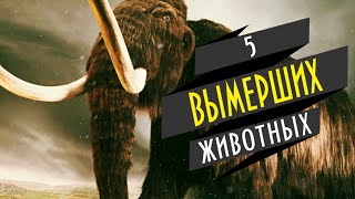 5 ВЫМЕРШИХ ЖИВОТНЫХ, которые могут быть живы 5 ВЫМЕРШИХ ЖИВОТНЫХ, которые могут быть живы