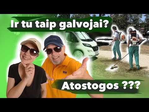 Video: Atostogos Vienoje