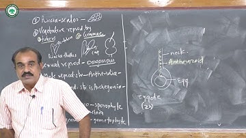 T.Y.B.Sc.(Botany) || Topic: Bryophyta || By Prof. Mate H.T.