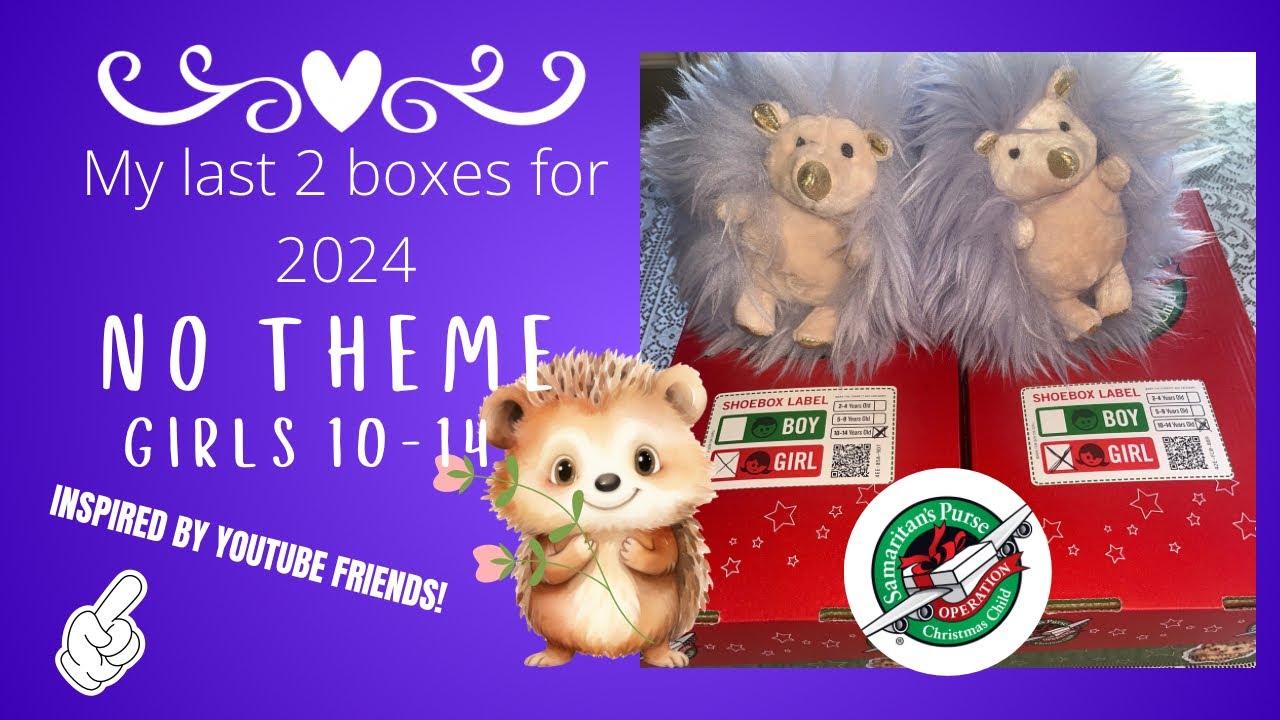 Operation Christmas Child - My Last 2 Boxes! No theme - Girls 10-14 🦔2024
