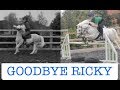 Goodbye ricky  - our progress