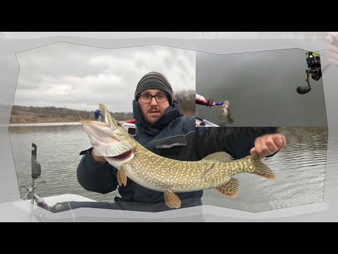 Видео: Как да хванем щука през зимата