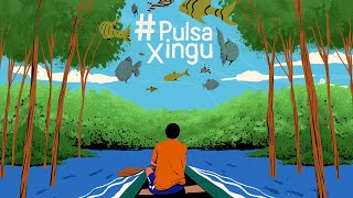 Riverside and indigenous people fight for the life of the Xingu River | #PulsaXingu