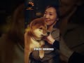 Do Dogs Understand When You’re Sad