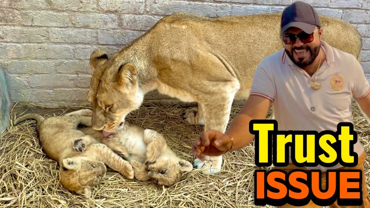 Diana ko dubara trust kasay aye ga ab maray pr😰(mian saqib)