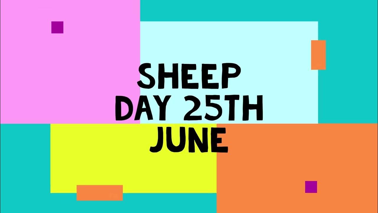 WHATS GOING ON SHEEP DAY 25TH JUNE YouTube