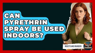Can Pyrethrin Spray Be Used Indoors? - Insects and Invaders