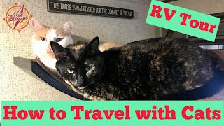 How to Travel with Cats, RV Travel Trailer Tour