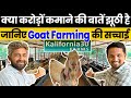    goat farming zero  hero   business planindian farmer