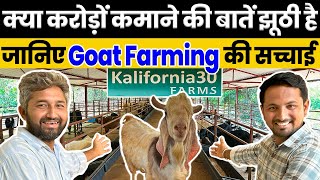 कैसे शुरू करें Goat Farming ?🤔💯Zero से Hero बनने का Business Plan🤑Indian Farmer