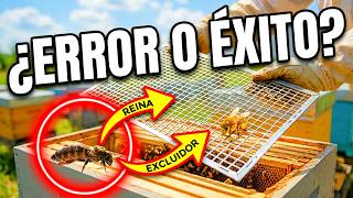 ¡CUIDADO! Lo que pasa si pones (o quitas) el Excluidor de Reinas 😱