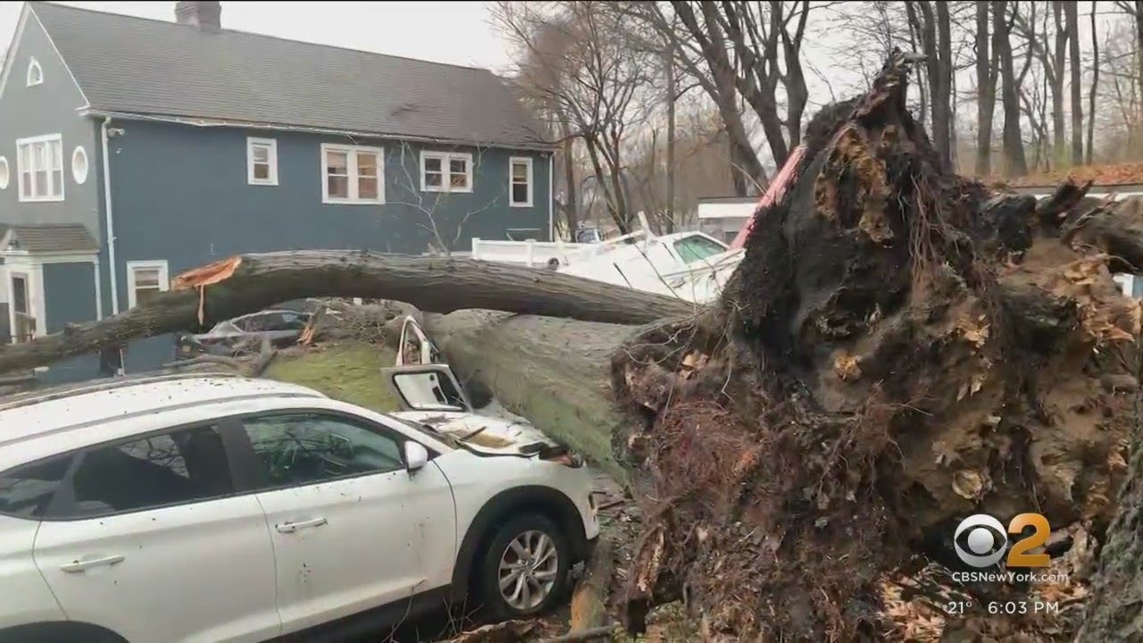 Winter storms takes downs trees & power lines in Westchester - YouTube
