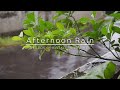 AFTERNOON RAIN | BAIS, NEGROS ORIENTAL | PHILIPPINES