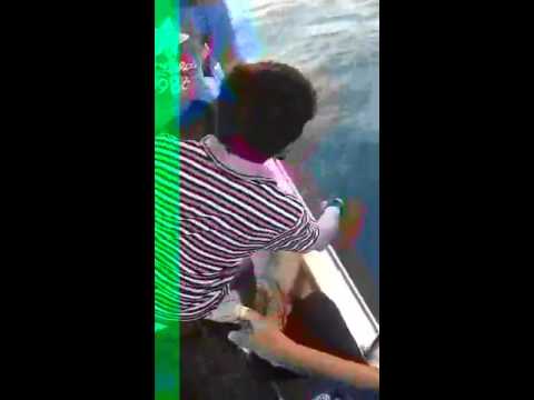 حماااااس التسحيييييب 2
