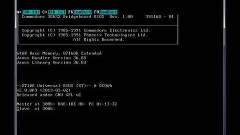 WinUAE Bridgeboard Emulation x86 CPU A2386 : Prince Of Persia MS-DOS