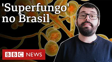 Quais os sintomas do Super fungo fatal?