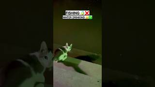 Puchki fishing skills 😱 #funny #viral