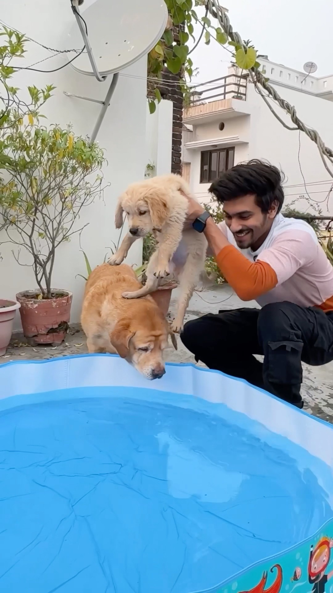 Leo ke baby ki first bath? #shorts | Anant Rastogi