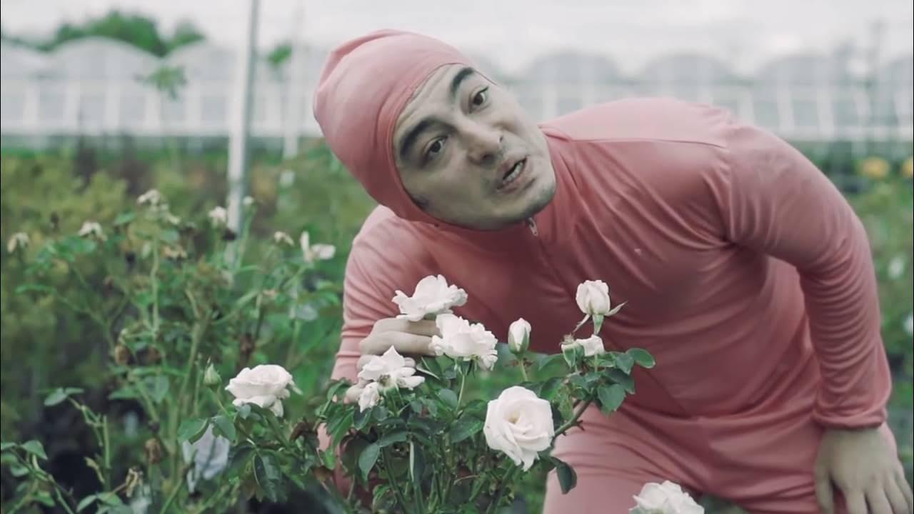 STFU - Filthy Frank - Clean Version (Censored) STFU - Filthy Frank - Clean Version (Censored)