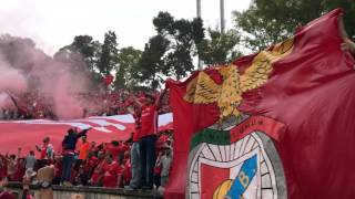 E o Benfica é Campeão!! Jamor, SL Benfica - Vitoria SC 28.05.2017