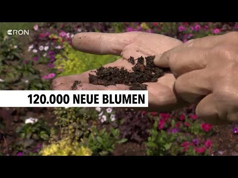 BUGA wird für