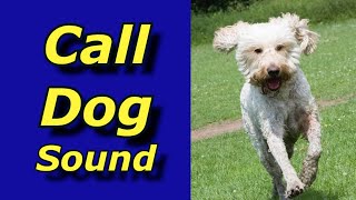 Call Dog Sound ~ Attract Dogs ~ Sounds Dogs Love  #Prankyourdog #Squeaky