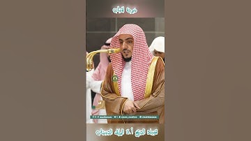 تلاوة خاشعة 🕊 سورة  لقمان 🕊  #للشيخ .د #الوليد_الشمسان