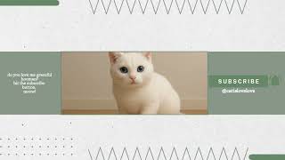 Sharing Some Facts About Fascinating White Cats - Full Video