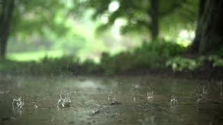 Shurah Anbiya By Ahmed Khedr.Beautiful_voice_of_Quran with rain sound.