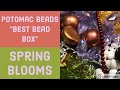 Potomac Beads - Best Bead Box Unboxing - April 2020