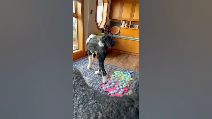 Uh-oh… #iambunny #existentialcrisis