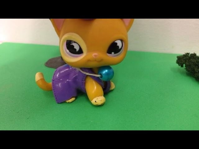 Watch Littlest Pet Shop Lets go Music Video/Behind The Scenes (All music goes to Bean) on YouTube Watch Littlest Pet Shop Lets go Music Video/Behind The Scenes (All music goes to Bean) on YouTube