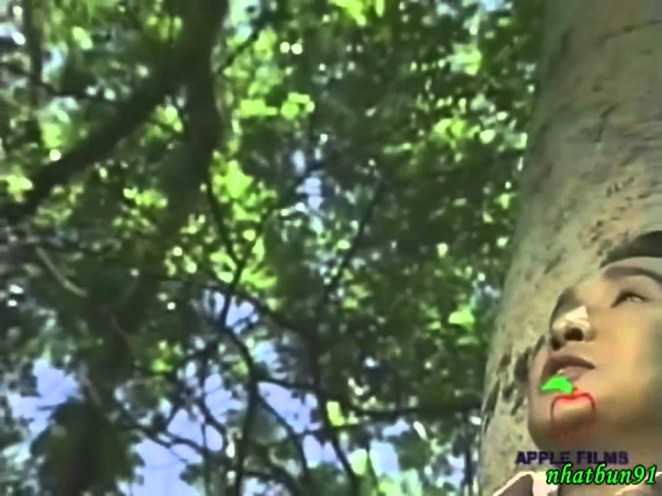 Chuyen tinh lan diep DUYÊN TÌNH 1