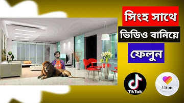 Video with lion Tik Tok Likee app | How To Make Likee video | Tik Tok video kivabe banabo