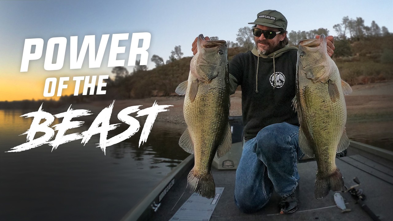 The Gear and Technique Needed for Big Beast Hook Swimbaits