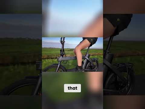 Belt Drive Bikes:
