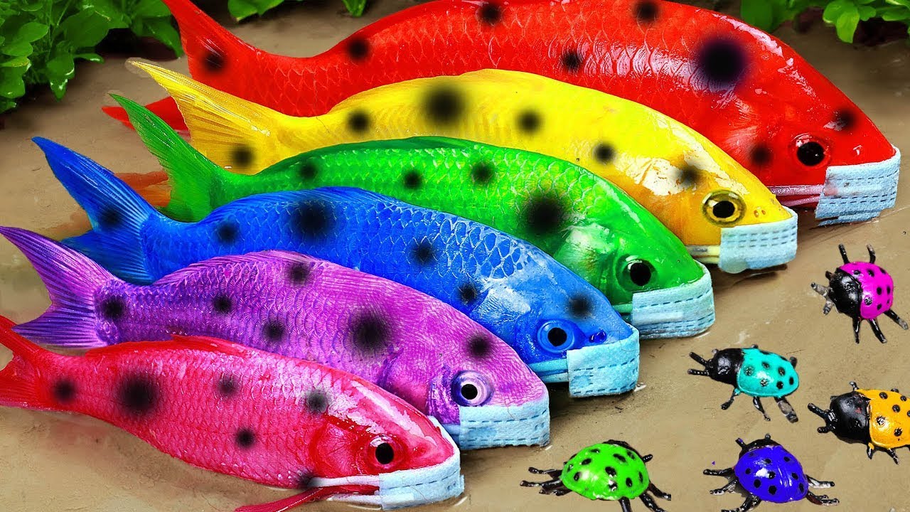 Best Of Small Fish Recipe | MINIATURE Fish Cooking Made EASY with Simple Recipe