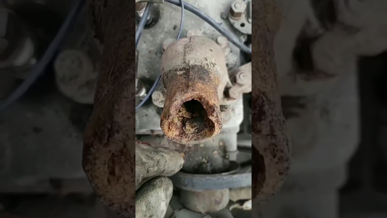 Воскрешение ЗИМа RAGGARE Vol. 1