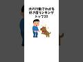 犬の行動でわかる好き度ランキング トップ20 #犬 #ペット #雑学