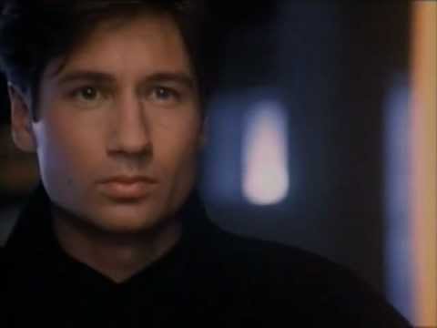 David Duchovny 7 - Burning In Love