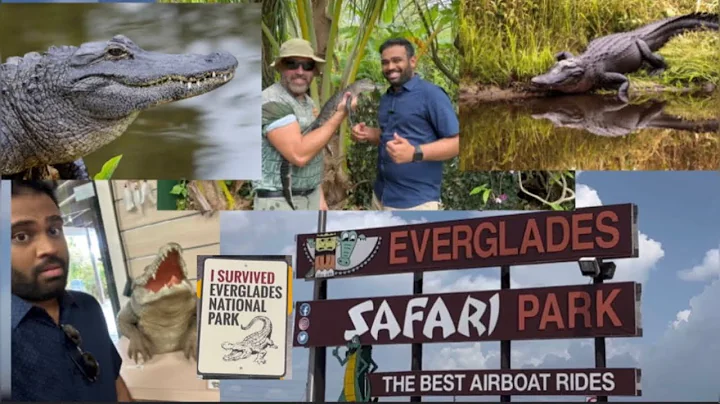 Experience the Thrill: Everglades Safari Park Airboat Ride | Things To Do In Florida