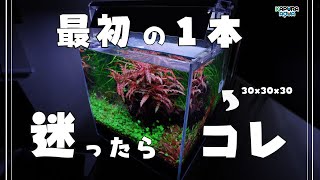 アクアサイダーのイモリウム水槽 30キューブサイズ mqdefault.jpg