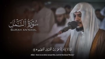 روائع الشيخ هيثم الدخين    تلاوة بديعة لسورة النمل كاملة لعام 1444هـ