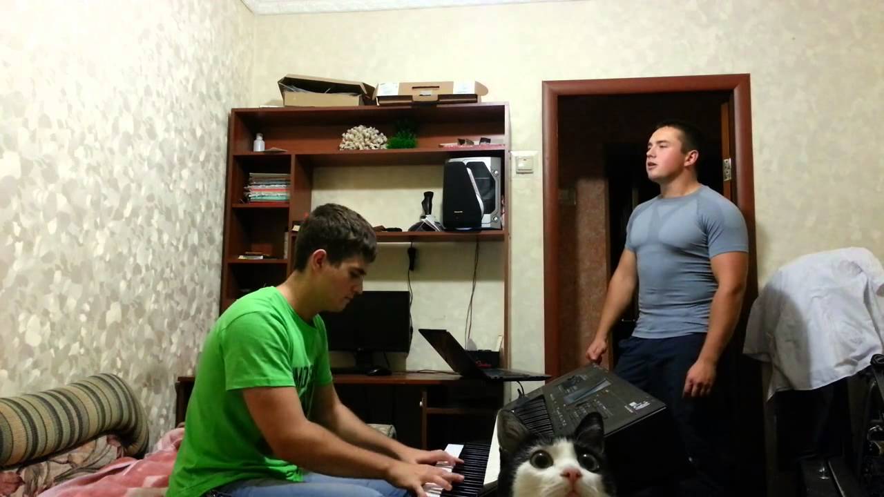 Звери - Говори Cover (кавер)